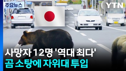 일본 사망자 12명 '역대 최다'...곰 소탕에 자위대까지 투입 / YTN