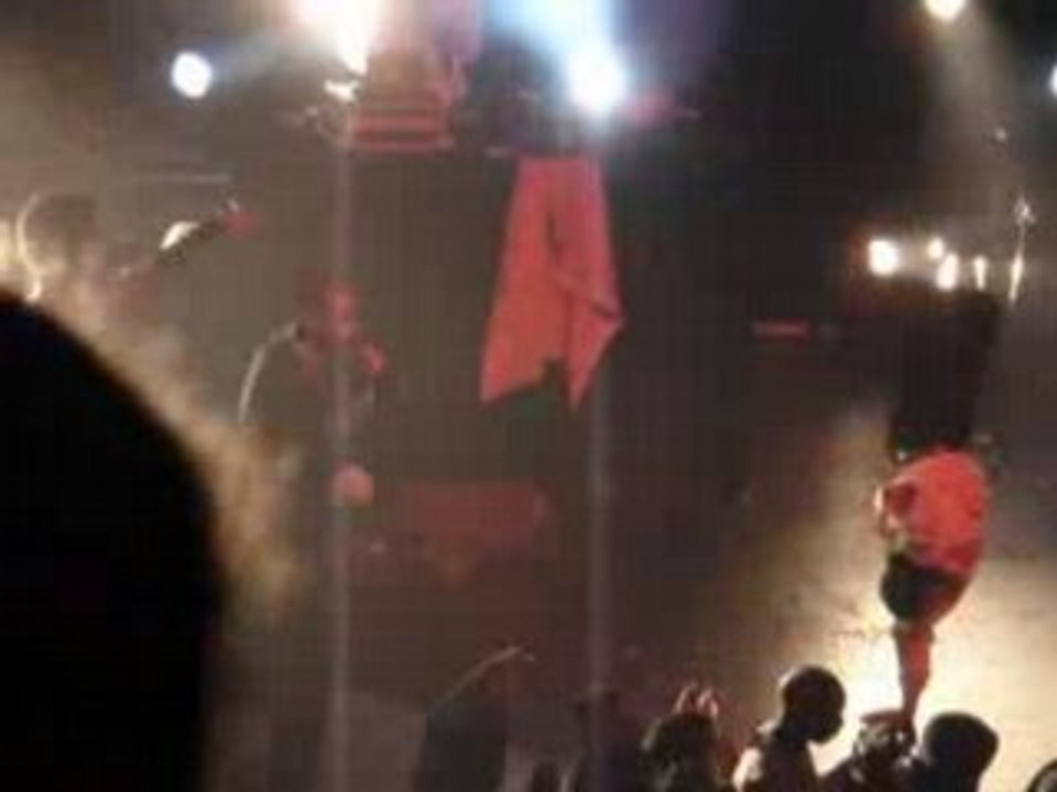 La fouine la cigale cherche la monnaie