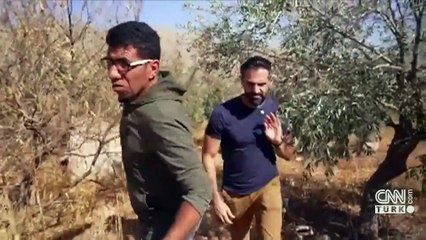 İsrail'in zeytin ağaçları ile derdi ne? Filistinli çiftçilere yerleşimci zulmü