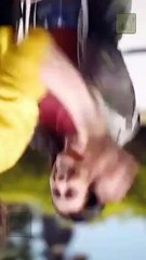 Diario De La Princesa Falsa