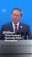 China Stresses Openness Amid Decoupling