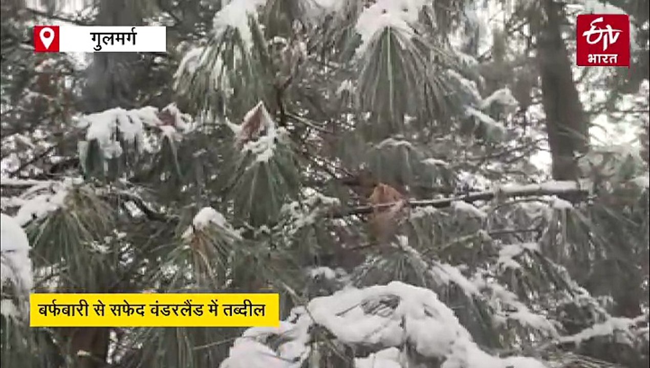 गुलमर्ग, सोनमर्ग और कुपवाड़ा में बर्फबारी से पर्यटकों में खुशी, श्रीनगर-लेह राजमार्ग बंद