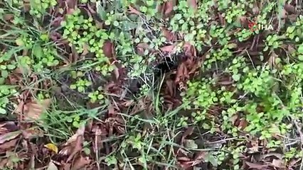 Konya'nın ardından bir ilimizde daha dev obruklar oluştu, evlerin duvarları çatladı