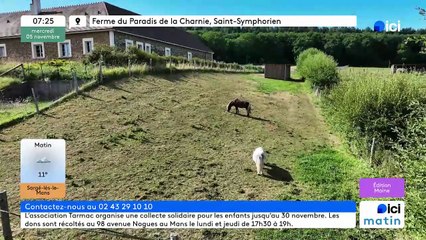 05/11/2025 - ici matin par ici Maine en vidéo