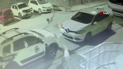 Sokak köpekleri ilçenin kabusu oldu, dişleriyle otomobile 108 bin TL’lik zarar verdiler