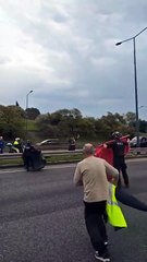 IRA resgata cão na 2.ª circular em Lisboa