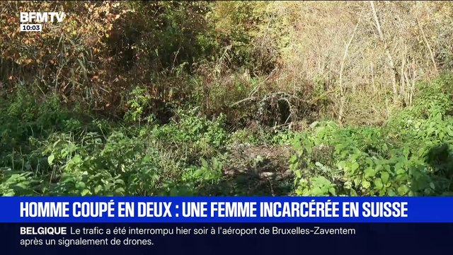 Une Française de 39 ans arrêtée en Suisse après la découverte d’un corps sectionné en deux parties en Haute-Saône, placée en détention provisoire et fait l’objet d’une instruction pénale