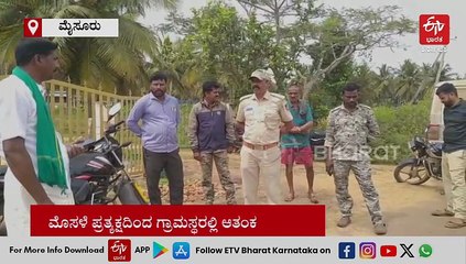 ಹುಸ್ಕೂರು ಕೆರೆಯಲ್ಲಿ ಮೊಸಳೆ ಪ್ರತ್ಯಕ್ಷ: ಗ್ರಾಮಸ್ಥರಲ್ಲಿ ಆತಂಕ