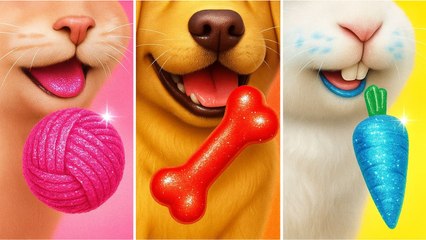 Relooking DIY ! Astuces INCONTOURNABLES pour économiser et prendre soin de ton animal de compagnie