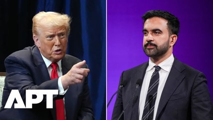 Karoline Leavitt Slams Zohran Mamdani for Blaming Trump Over Polling Site Bomb Threats | APT