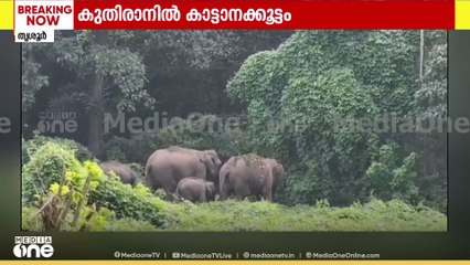 ' ജനവാസ മേഖലയിൽ ആനയെത്തിയതോടെ അശങ്ക'