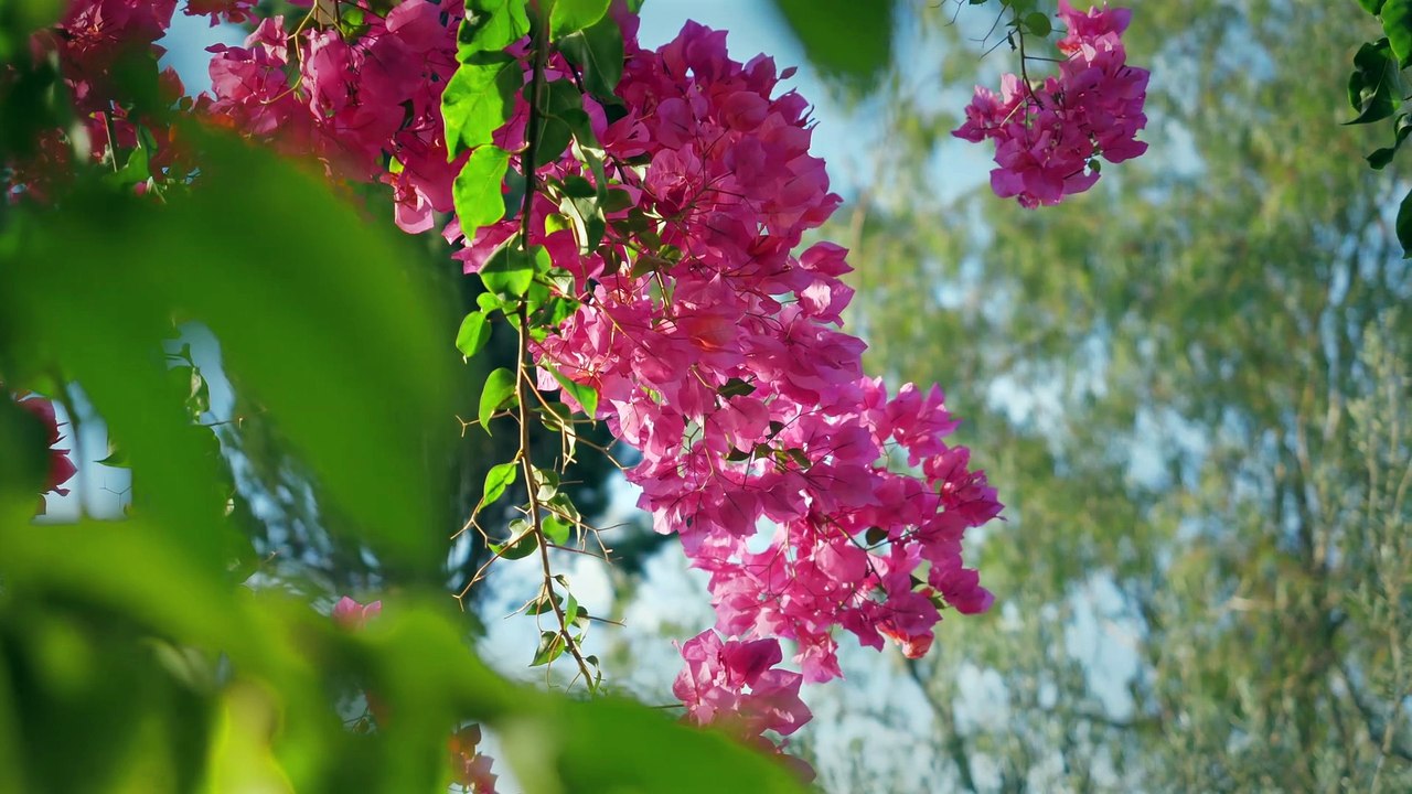 Roca Verde Boutique Bed & Breakfast en Malaga