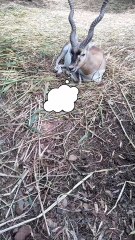 Do you also post filters?