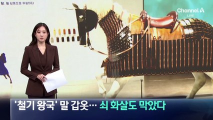 ‘철기 왕국’ 가야 말 갑옷…쇠 화살도 막았다
