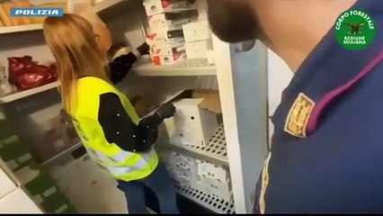 Blatte e sporcizia in un fast food, i Nas di Catania lo sequestrano