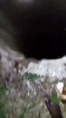 Cavalo cai em fossa de 6 metros e é resgatado pelos bombeiros