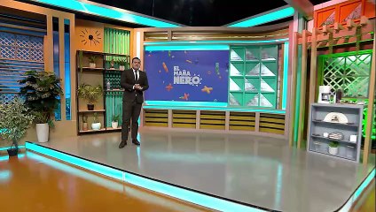 Rescatan a un lagarto de canal en carretera a Cotoca