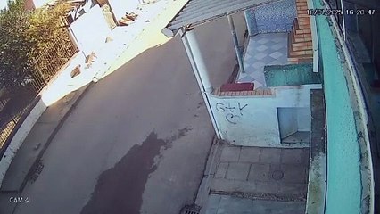 PCPR prende homem por envolvimento em homicídio ocorrido no bairro Cajuru, na Capital