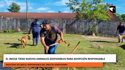 El IMuSA tiene nuevos animales disponibles para adopción responsable