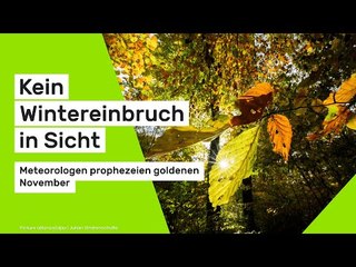 Kein Wintereinbruch in Sicht - Meteorologen prophezeien goldenen November