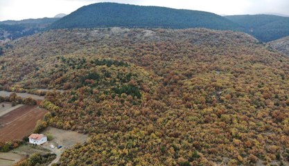 Kütahya'da sonbahar renkleri hakim oldu!