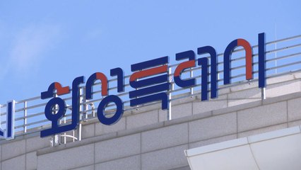 [경기] 화성시, 내년 '아빠 육아휴직 장려금 지원사업' 추진 / YTN