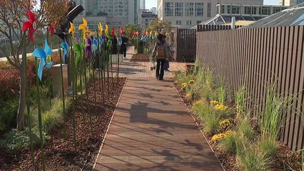 [부산] '부산시청 하늘정원' 시민에게 개방 / YTN