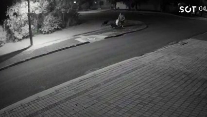 Câmeras de segurança registram ataque de cães a pedestres no bairro Tropical, em Cascavel
