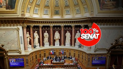 100% Sénat - Le Sénat adopte un texte pour lutter contre la vie chère dans les outre-mer