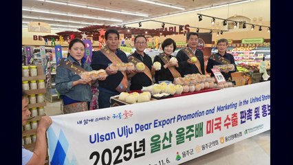 [울산] 울산 울주군 미국 현지에서 '울주배' 판촉 행사 / YTN