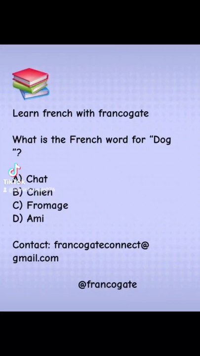 French vocabulary Quiz