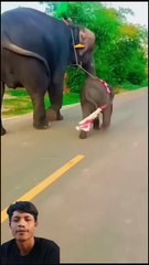 The Guy Who Took '1000%' TOO Seriously! 😵 His Reaction Proves He Saw the Future!