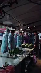 Seeds Of Power Fruits Of Fury - FULL HD MOVIE [Eng Sub]