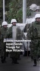 Japan Sends Troops For Bear Attacks