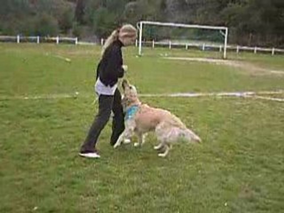Entrainement