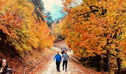 Sonbaharın ahengi Amanos Dağları'na böyle yansıdı