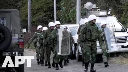 Japan Deploys Military as Deadly Wave of Bears Terrorizes Northern Towns | APT