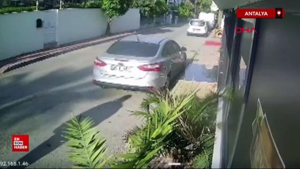 Antalya'da havladığı gerekçesiyle köpeği öldüren polis hakkında yakalama emri