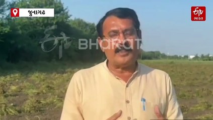 ખેડૂતોના 5 સળગતા મુદ્દાઓને લઈને ગુજરાત કોંગ્રેસની 'કિસાન આક્રોશ યાત્રા', જાણો ક્યા મુદ્દાઓ