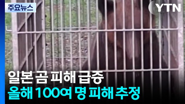 곰 습격으로 인명피해 급증...자위대 투입 / YTN