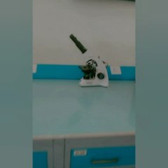 Salim Habib university