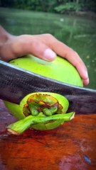 Fresh Green Coconut — Perfect Cut & Perfect ASMR