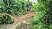 Plantation Road Service Project Bulldozer D6R XL Renovating Old Roads