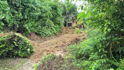Plantation Road Service Project Bulldozer D6R XL Renovating Old Roads