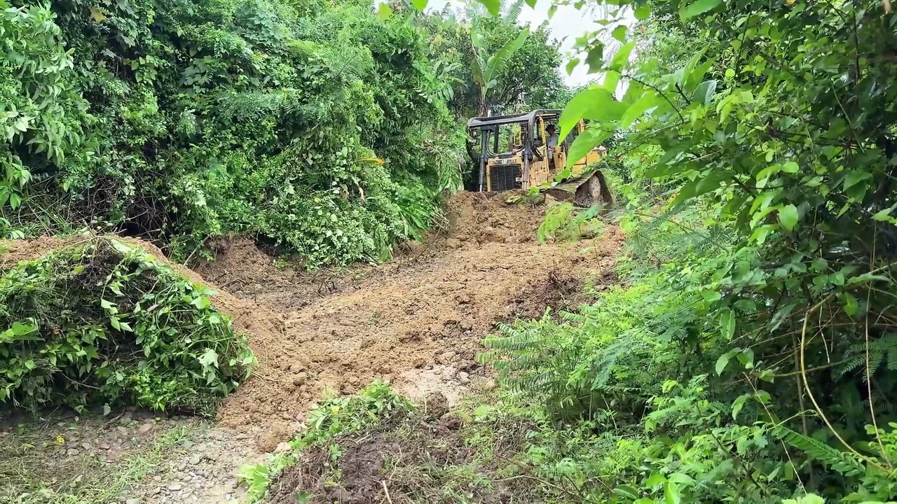 Plantation Road Service Project Bulldozer D6R XL Renovating Old Roads