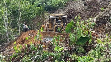 Creating a New Road, Bulldozer D6R XL Working in the Mountain Plantation
