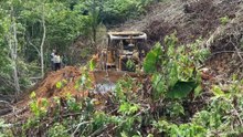 Creating a New Road, Bulldozer D6R XL Working in the Mountain Plantation