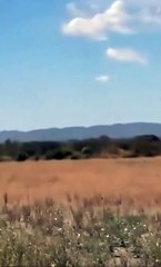 Avioneta con matrícula boliviana cae en Argentina con más de 130 kilos de droga