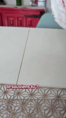 vous souvenez vous des popples ?