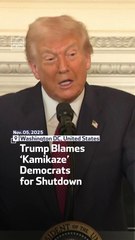 Trump Blames ‘Kamikaze’ Democrats for Shutdown